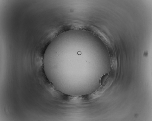 X0000102510621200808221819