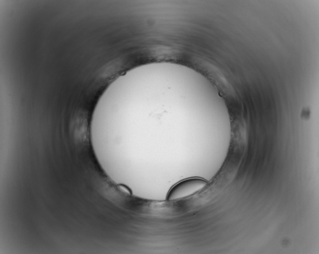 X0000102510622200808221819