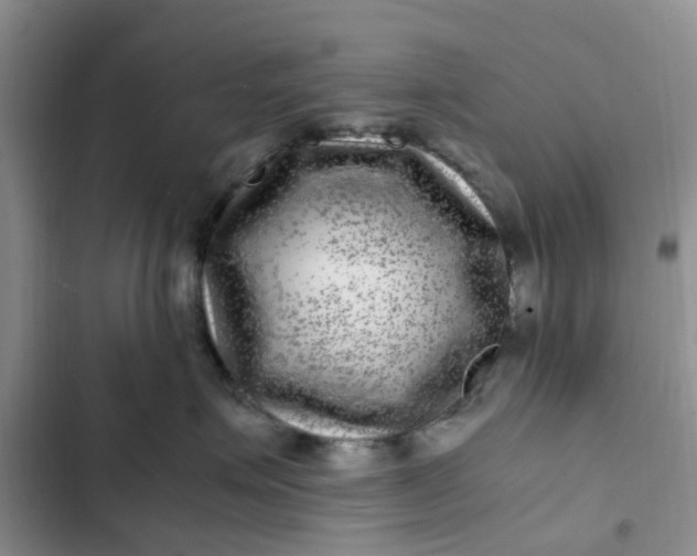 X0000102510623200808221819