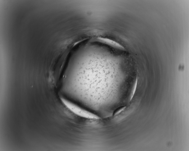 X0000102510624200808221819