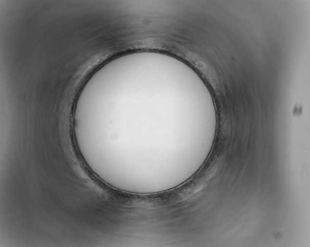 X0000102510625200808221818