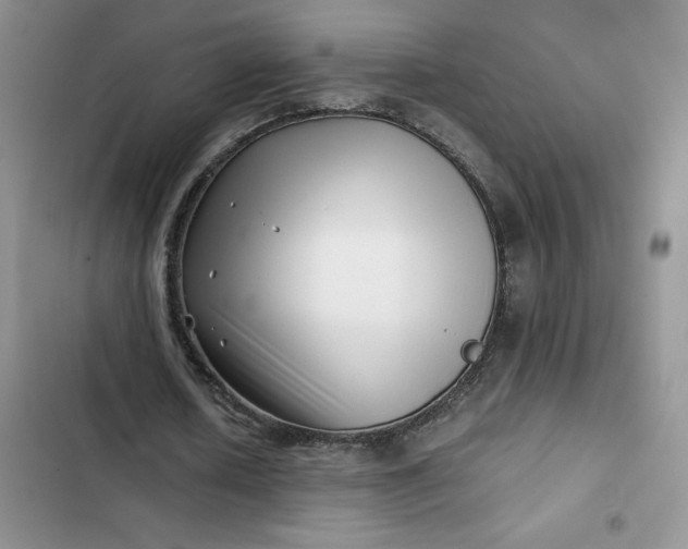 X0000102510626200808221818