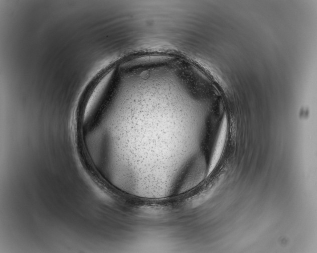 X0000102510630200808221818