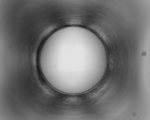 X0000102510631200808221818