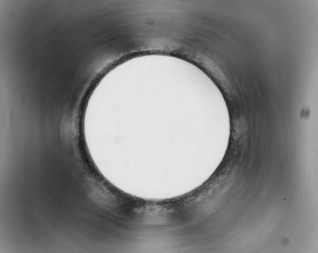 X0000102510632200808221818