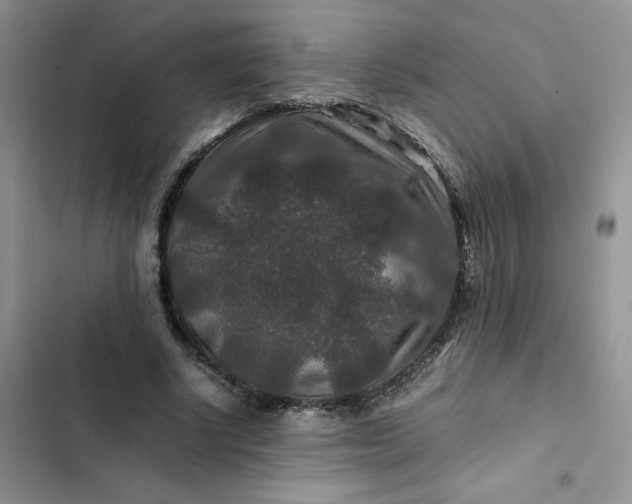 X0000102510634200808221818