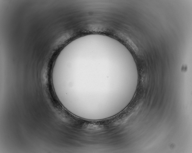 X0000102510635200808221818