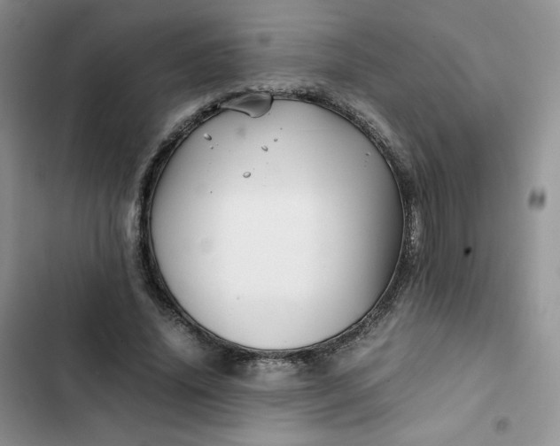 X0000102510636200808221818