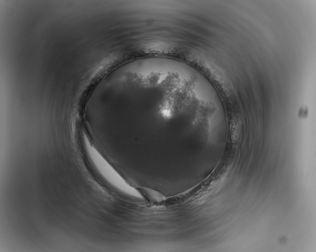 X0000102510637200808221818