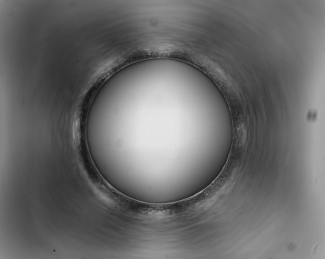 X0000102510638200808221818