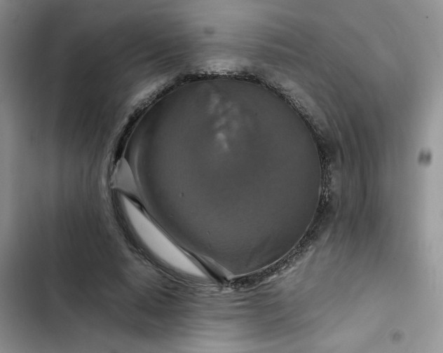 X0000102510640200808221818