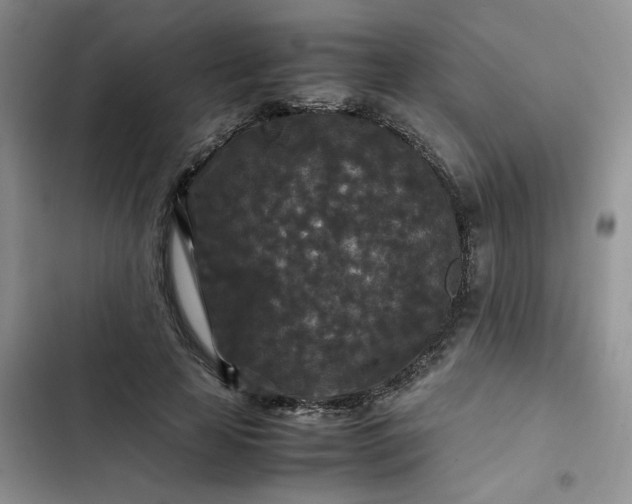 X0000102510641200808221818