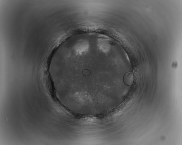 X0000102510642200808221818