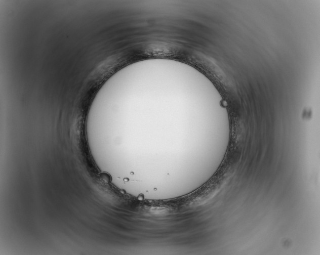 X0000102510645200808221818