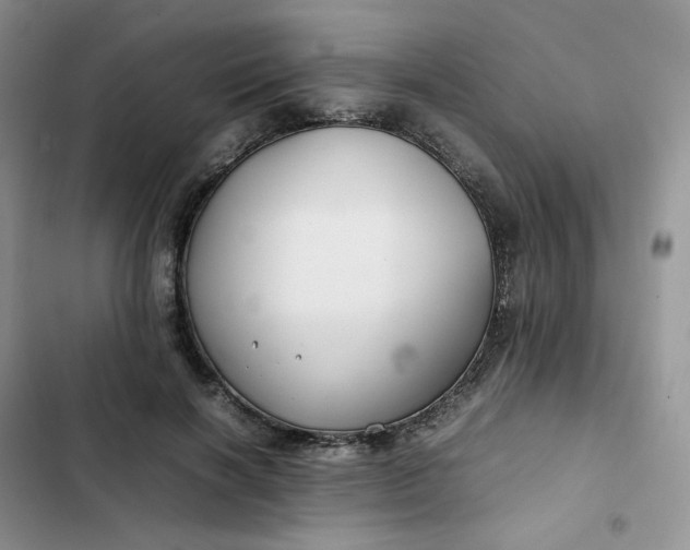 X0000102510646200808221818