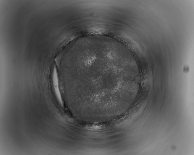 X0000102510647200808221818