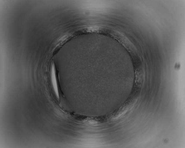X0000102510648200808221818