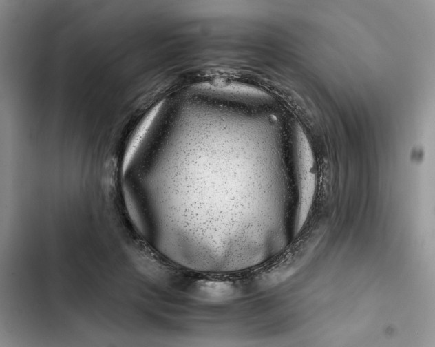 X0000102510649200808221818