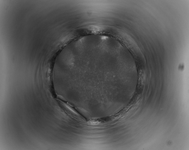 X0000102510650200808221818