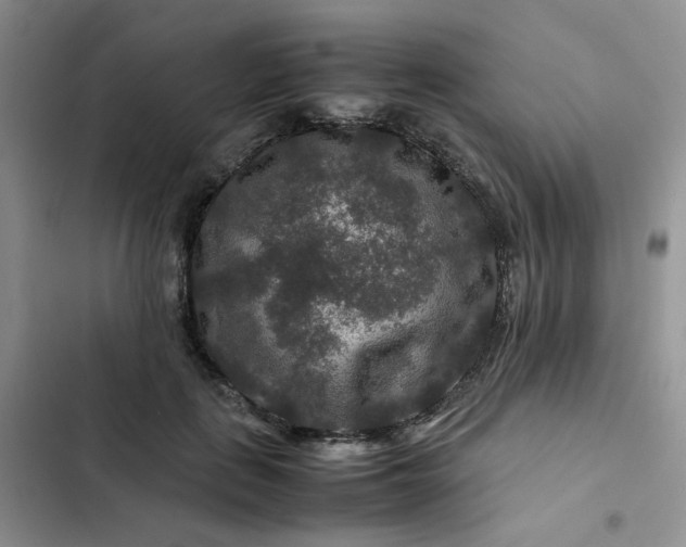 X0000102510651200808221818