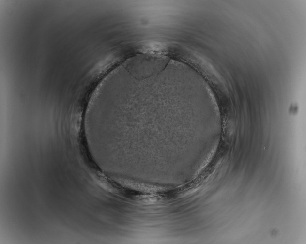 X0000102510652200808221818