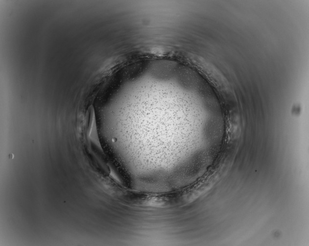 X0000102510656200808221818
