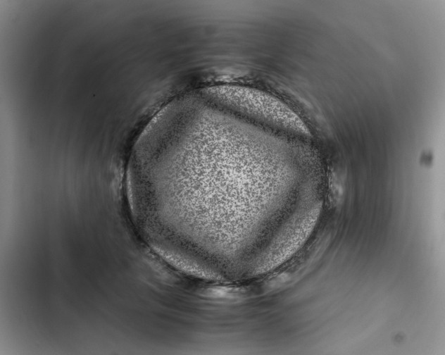 X0000102510657200808221818