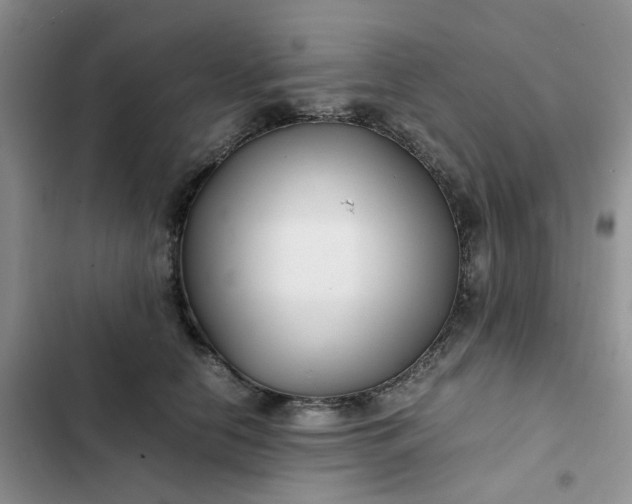 X0000102510658200808221818