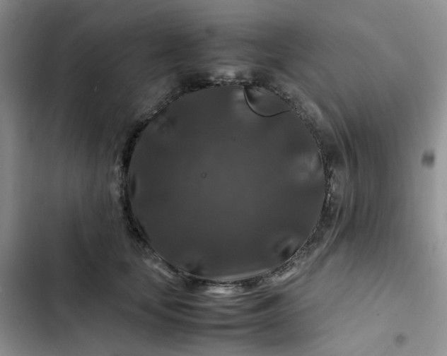 X0000102510659200808221818