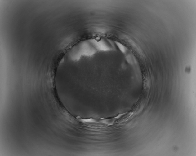 X0000102510661200808221818