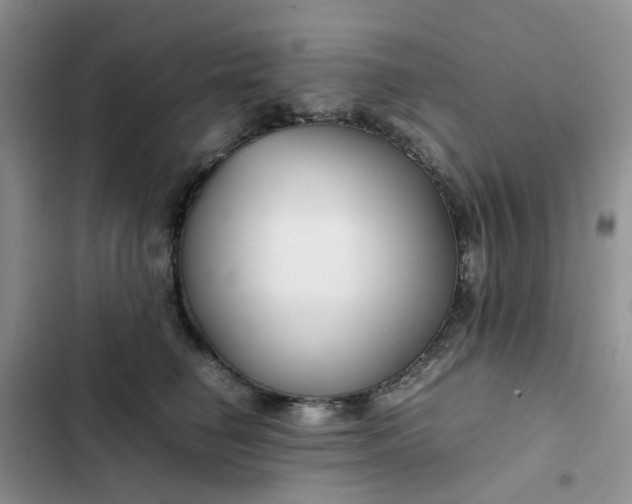 X0000102510662200808221818