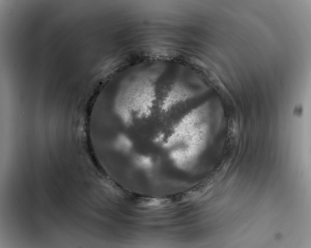 X0000102510663200808221818
