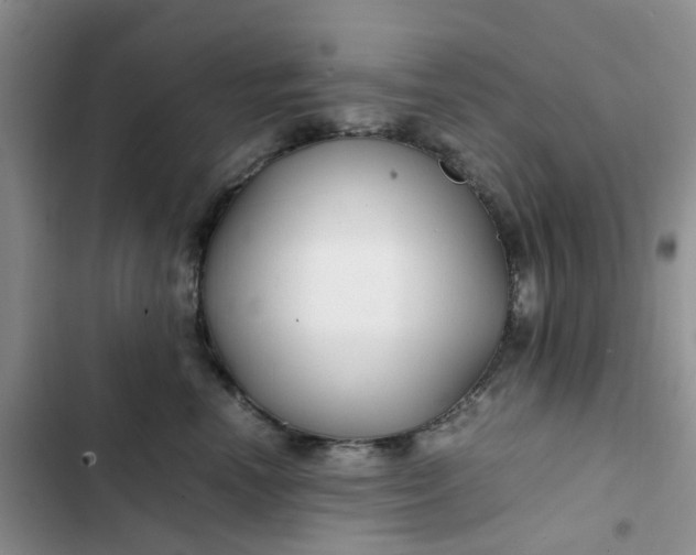 X0000102510666200808221819