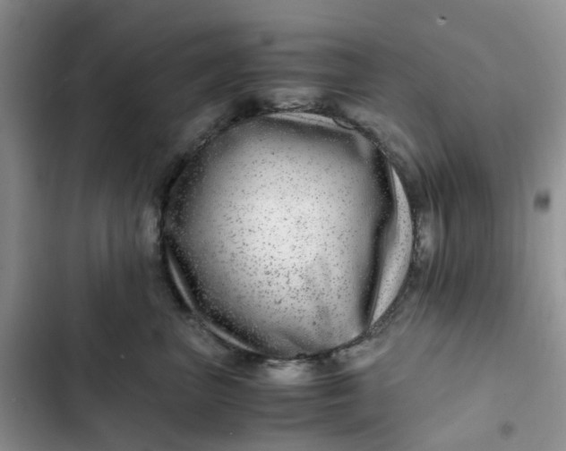 X0000102510667200808221819