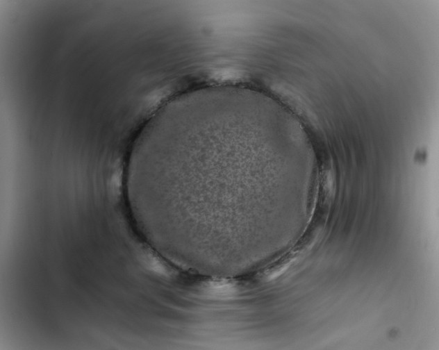 X0000102510668200808221819
