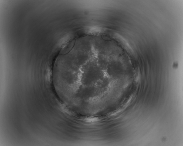 X0000102510669200808221819