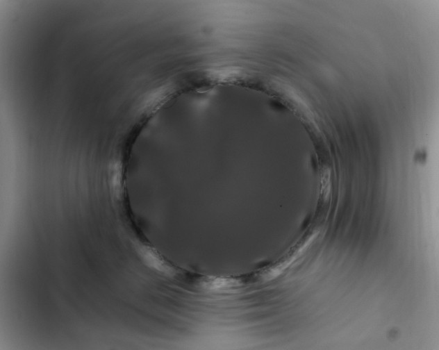 X0000102510670200808221819