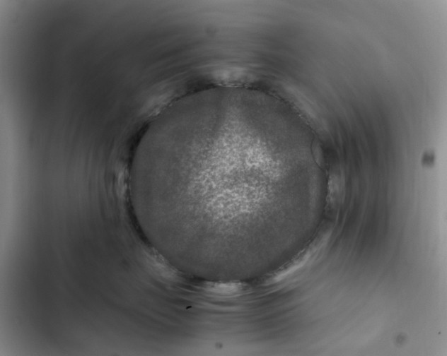 X0000102510671200808221819
