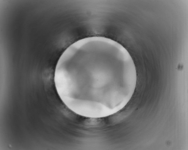 X0000102510672200808221819