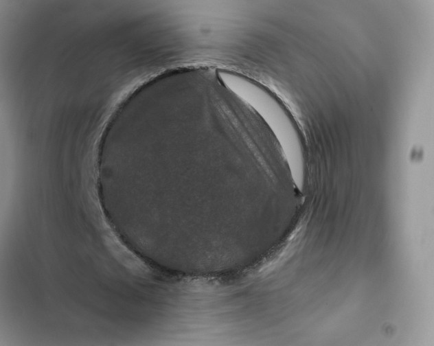 X0000102510673200808221818