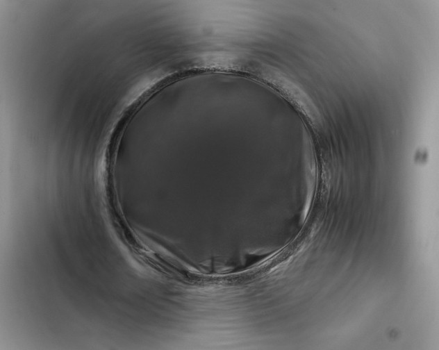 X0000102510674200808221818