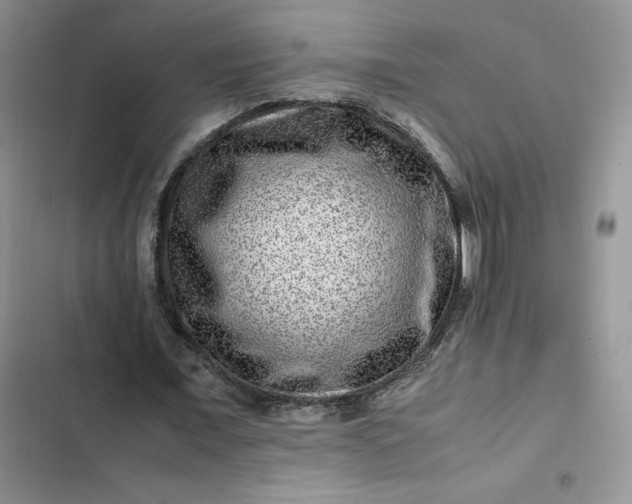 X0000102510675200808221818