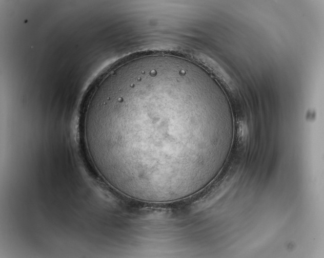 X0000102510676200808221818