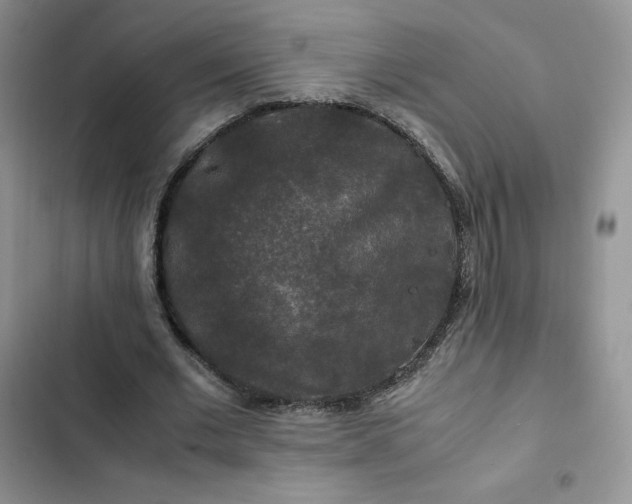 X0000102510677200808221818