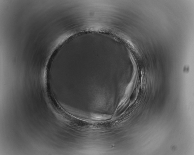 X0000102510678200808221818