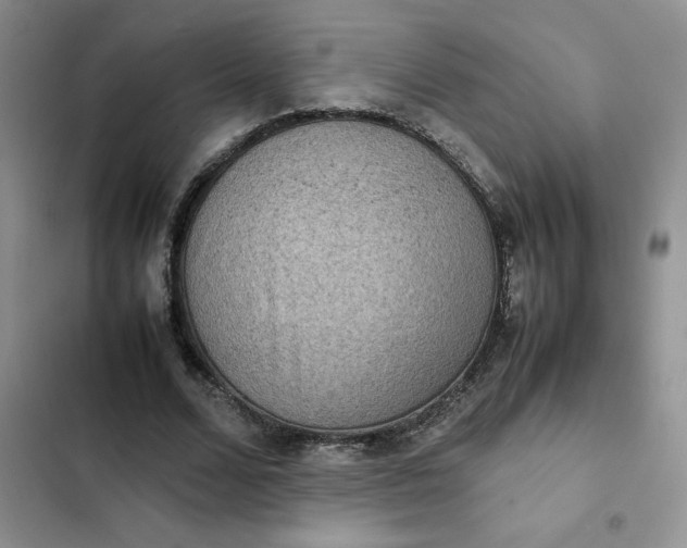 X0000102510680200808221818