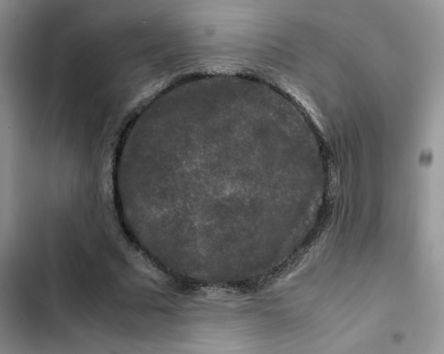 X0000102510681200808221818