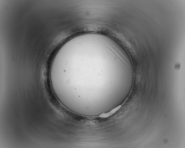 X0000102510683200808221818