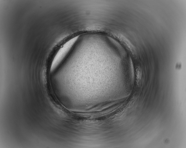 X0000102510684200808221818