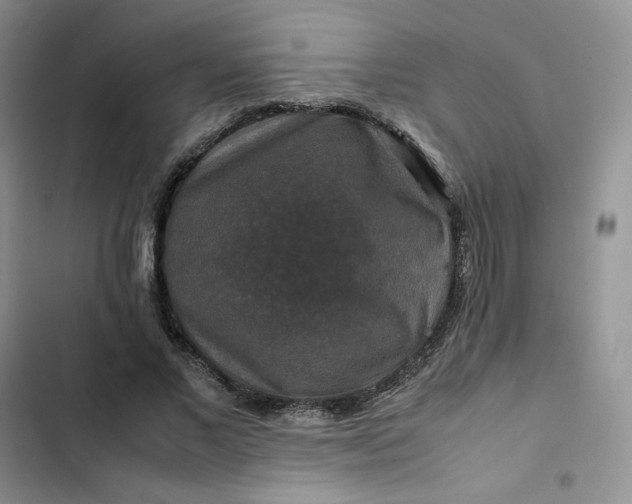 X0000102510685200808221818
